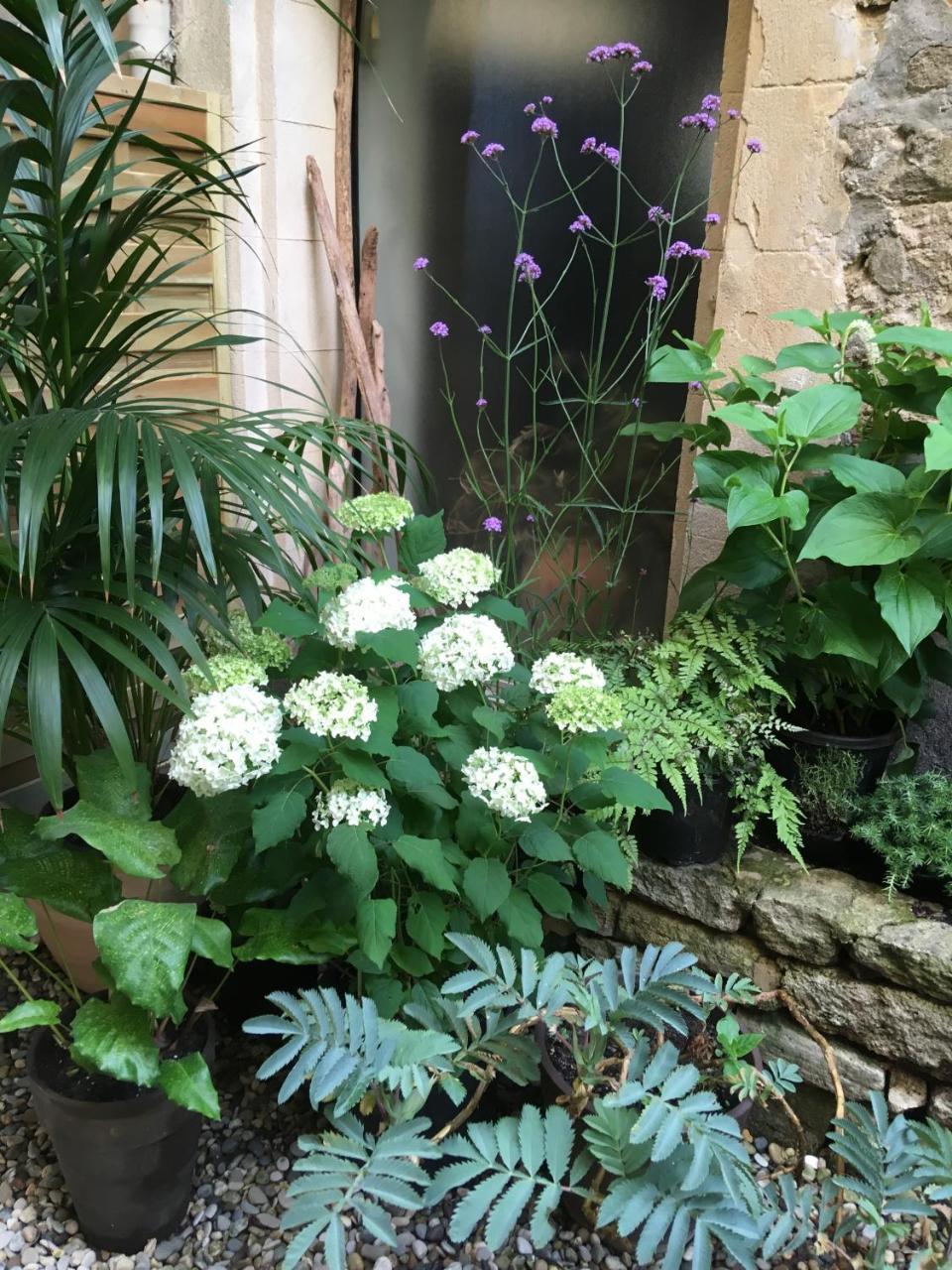 Bed and Breakfast Monte Arena Montaren-et-Saint-Médiers Exterior foto